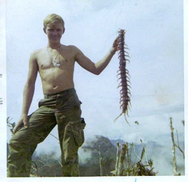 1967_united_states_soldier_holds_up_a_jungle_centipede_during_the_vietnam_war.jpg