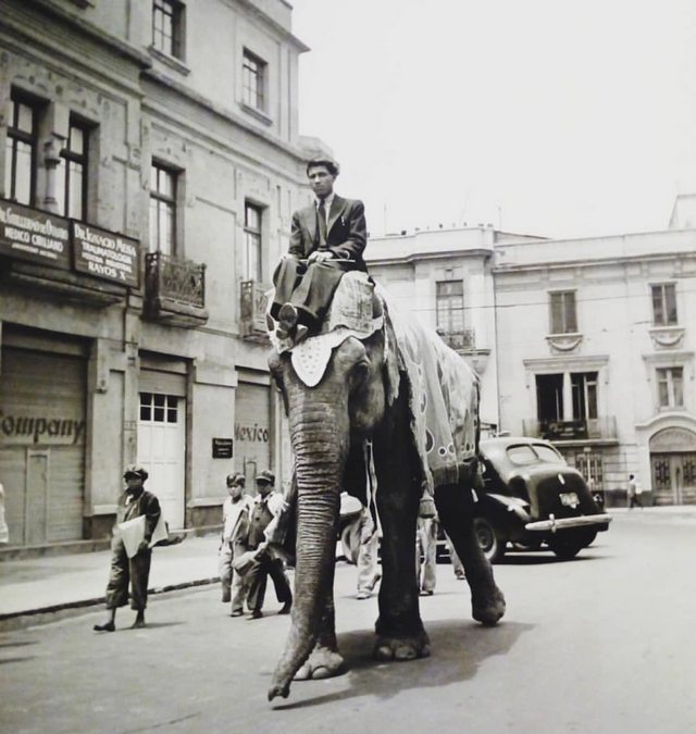 1942_a_man_walks_riding_on_the_head_of_an_elephant_mexico_city.jpg