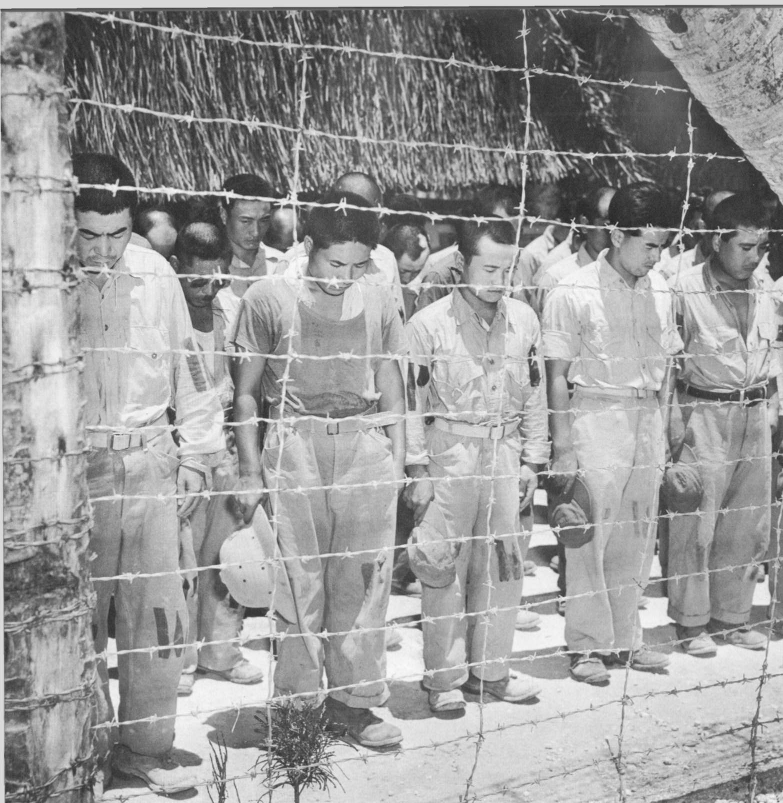 1945. Japán hadifoglyok megtudják Hirohito császár lemondását és Japán kapitulációját..jpg
