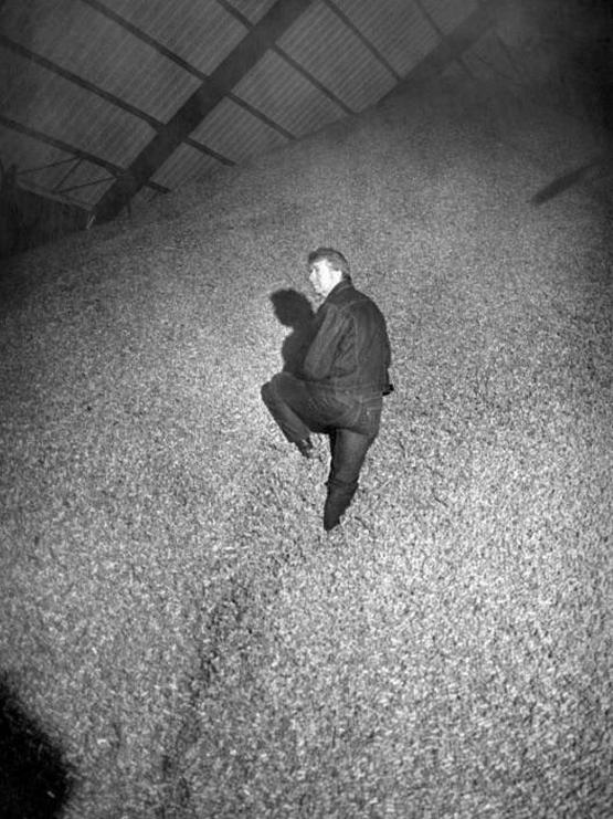 1976_jimmy_carter_standing_on_a_pile_of_peanuts_at_his_family_s_peanut_warehouse_in_plains_georgia.jpg