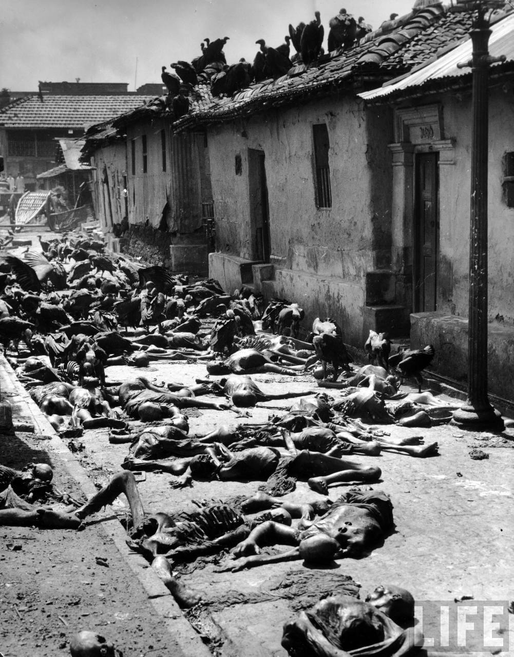 1947. Keselyűk lakmároznak a holttestekből az India és Pakisztán szétválásakori erőszakhullám alatt..jpg