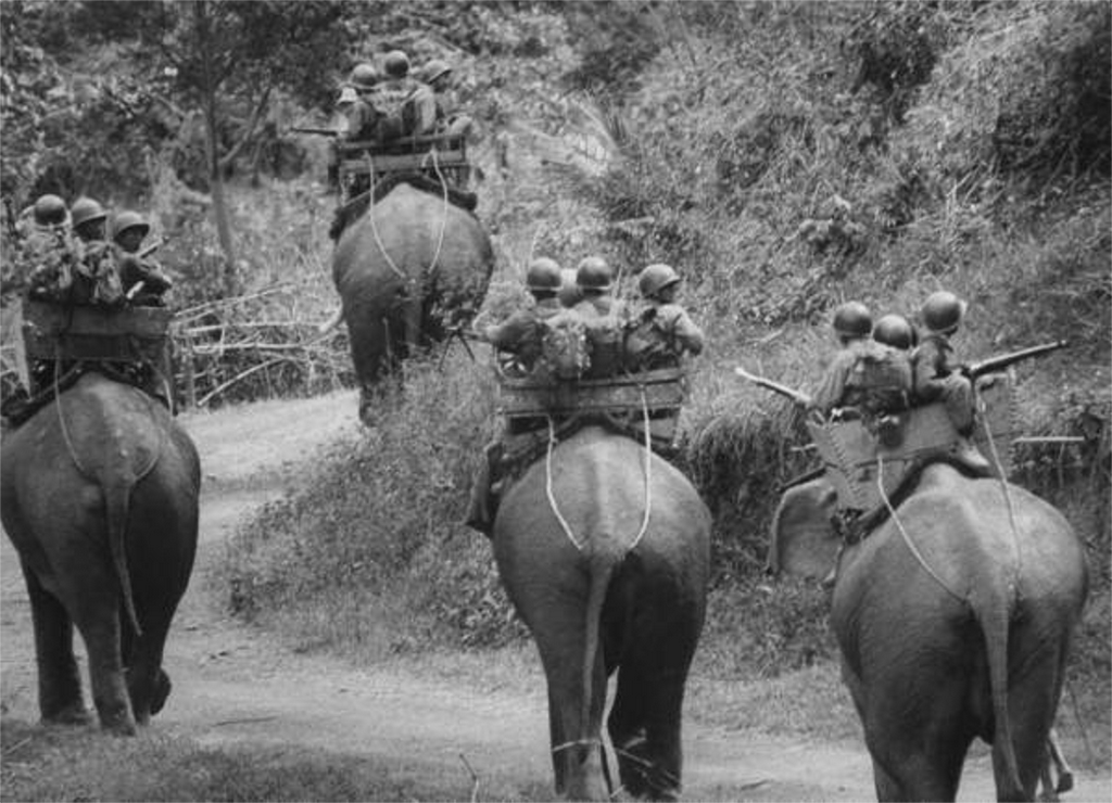 1962_south_vietnamese_army_war_elephants_on_patrol_in_the_central_highlands.png