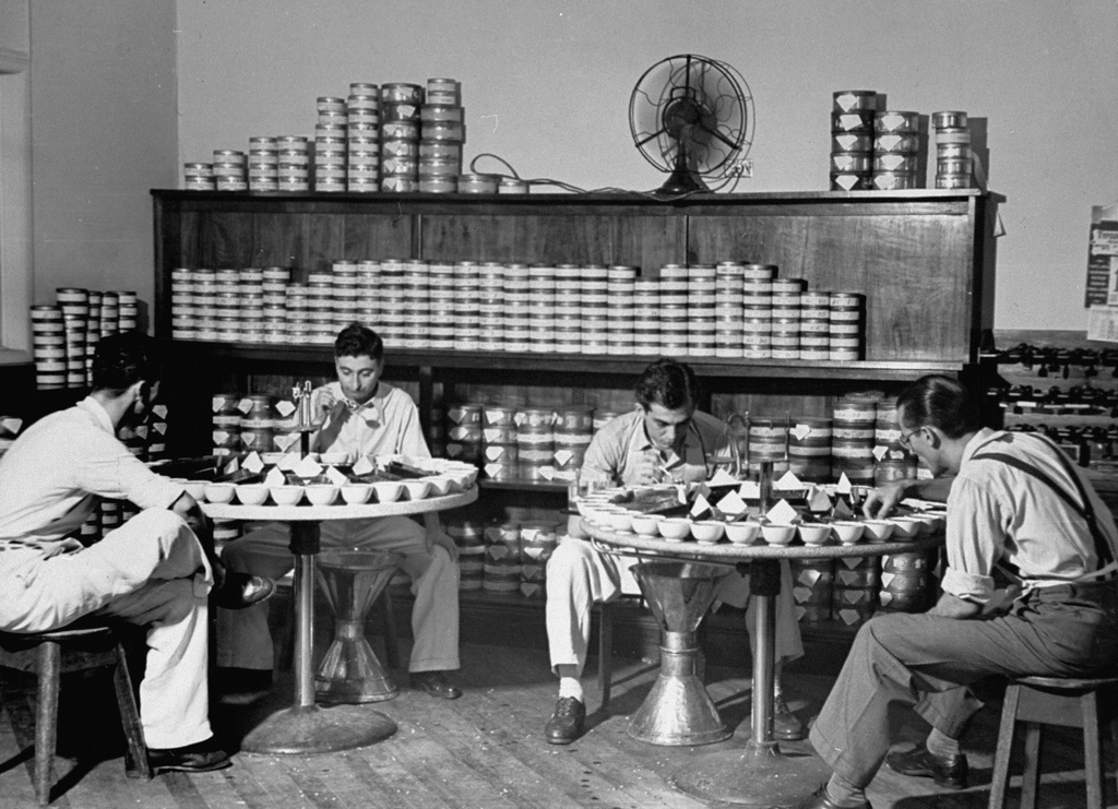 1939_business_men_sitting_around_a_table_test_tasting_coffee_santos_brazil.jpg