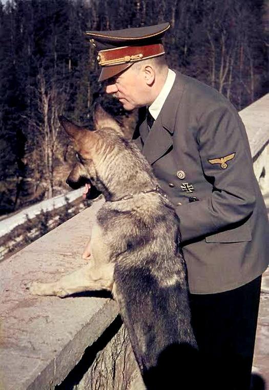 1941_blondi_was_adolf_hitler_s_german_shepherd_a_gift_from_martin_bormann_hitler_would_later_test_one_of_his_cyanide_capsules_on_her_to_make_sure_they_worked.jpg