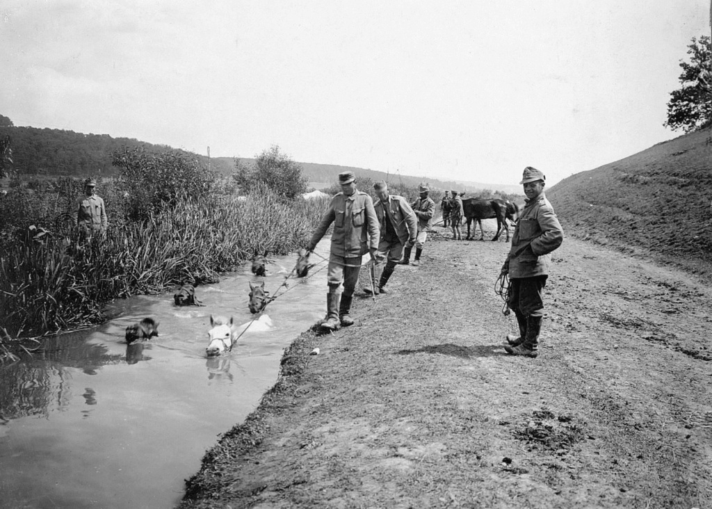 1917_austro-hungarian_soldiers_washing_their_horses_in_a_canal_on_the_italian_front1.jpg