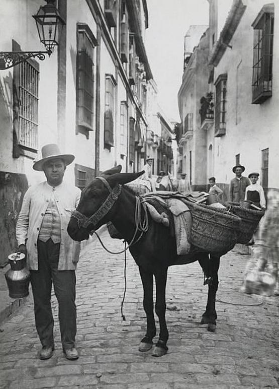 1910_spanish_milk_man_posing_with_his_donkey_in_the_street_seville_spain.jpg