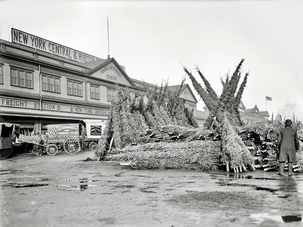 1903_barclay_station_nyc_christmas_tree_market.jpg