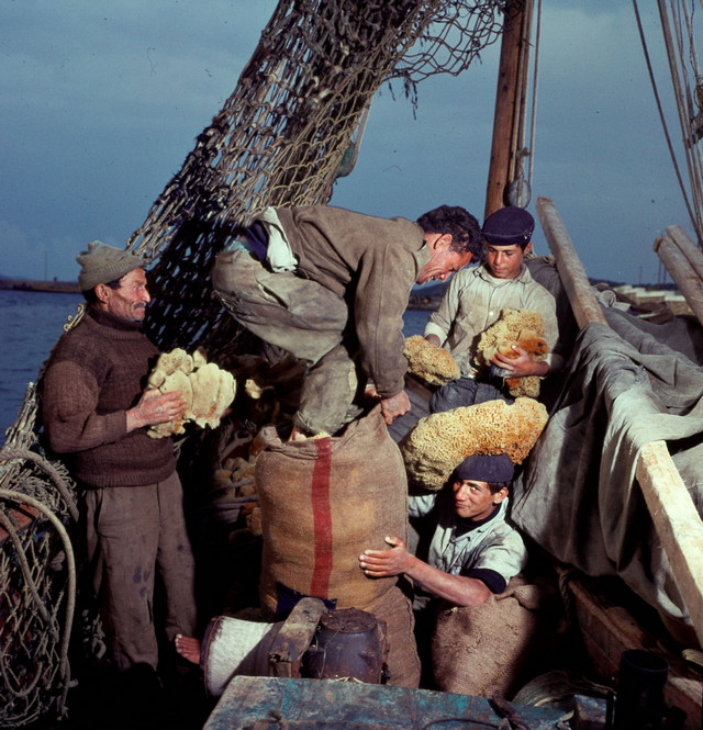 1963_sponge_divers_from_symi_greek_island_storing_their_harvest_in_agios_nikolaos_crete.jpg