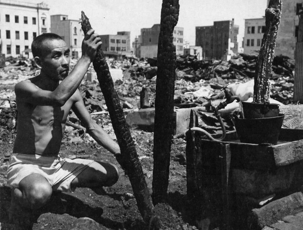 1945_09_00_a_japanese_man_amid_the_scorched_wreckage_and_rubble_that_was_once_his_home_in_yokohama_japan.jpg
