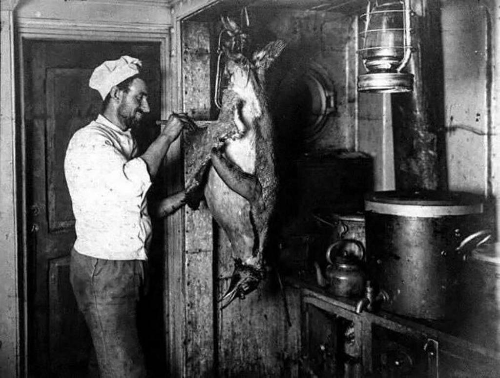 1915_cook_cooks_a_penguin_for_lunch_antarctic_expedition.jpg