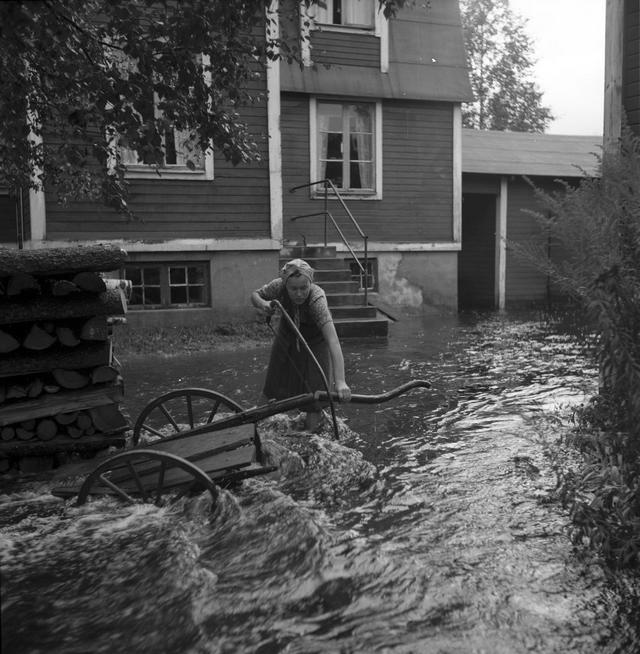 1945_a_woman_sawing_a_piece_of_wood_during_a_historic_flood_in_g_vle_sweden.jpg