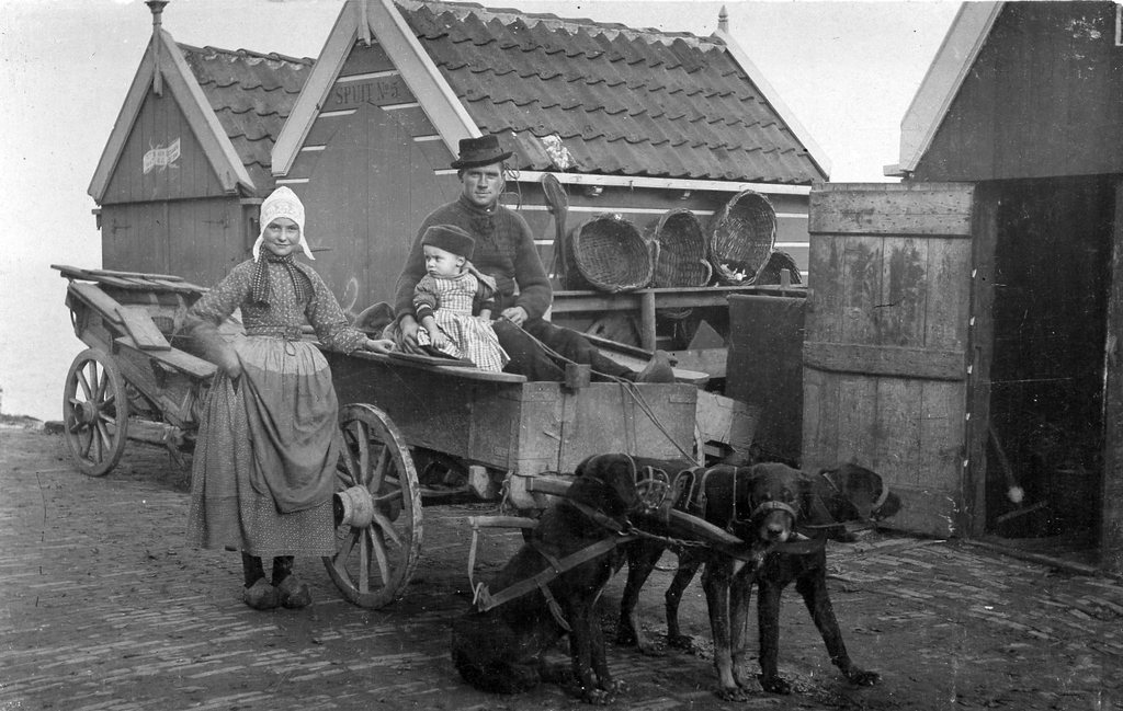 1905_dogcart_volendam_the_netherlands.jpg