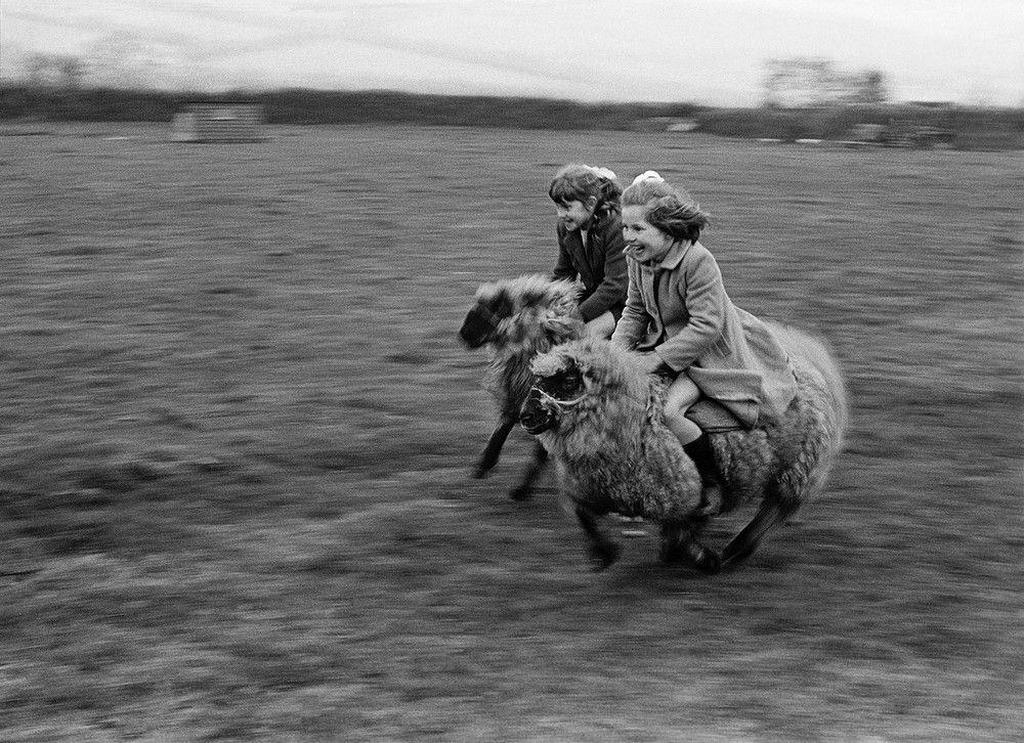 1969_two_girls_gallop_full_speed_on_sheep_in_cornwall_england.jpg