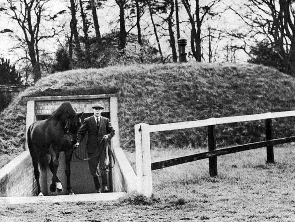 1941-nearco-stallion-england.jpg