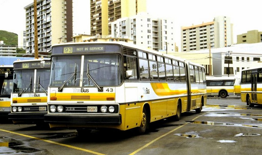 1984_8_db_ikarusz_autobuszok_szolgalt_hawaii-on.jpeg