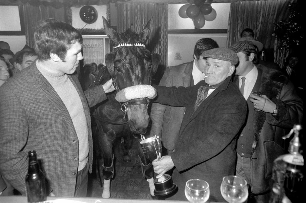 1969_winner_of_this_year_s_horse_trotting_exhibition_along_the_highway_stepney_london_uk.jpg