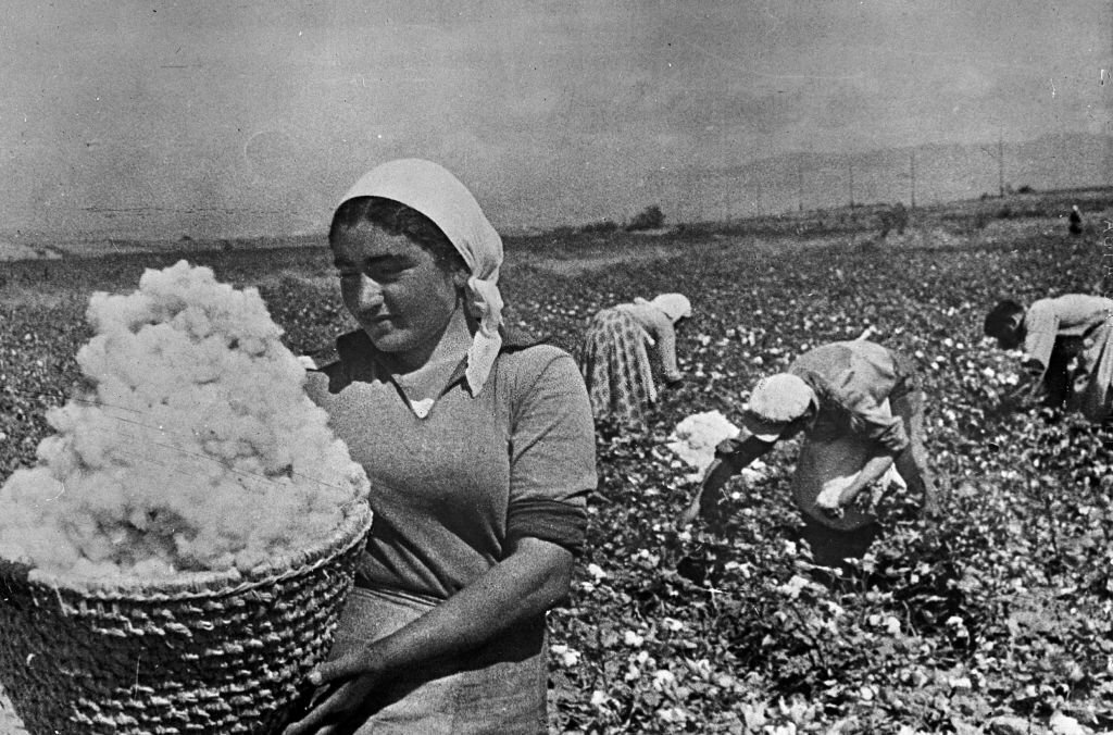 1930_cotton_picking_in_armenia_ussr.jpg
