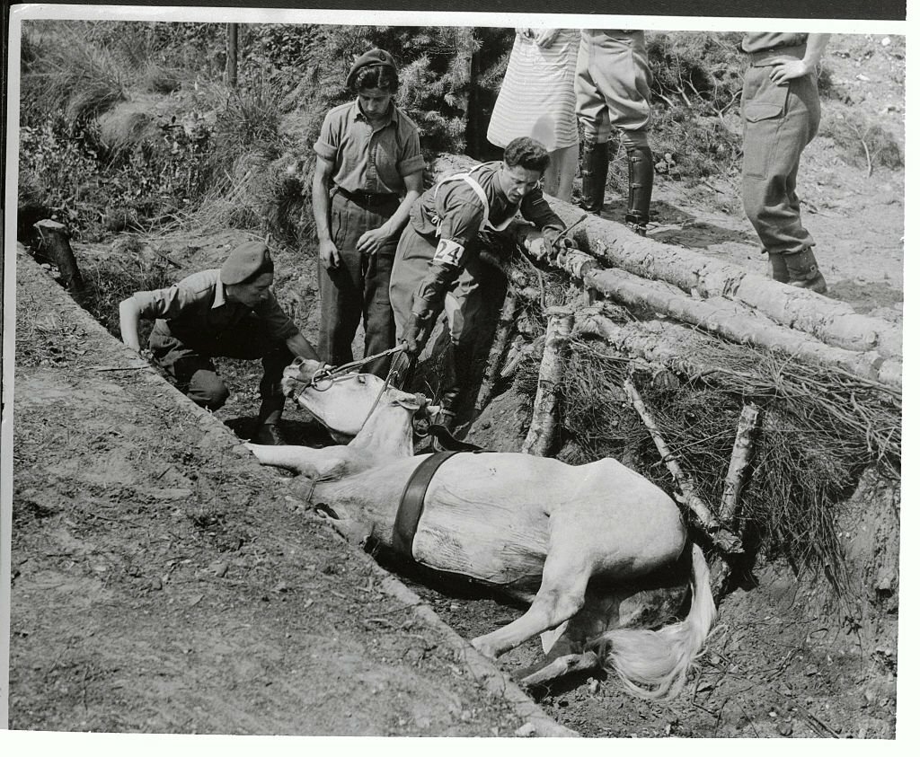 1948_hegedus_frigyes_was_competing_in_the_olympic_games_modern_pentathlon_when_his_horse_just_lost_his_breath.jpg