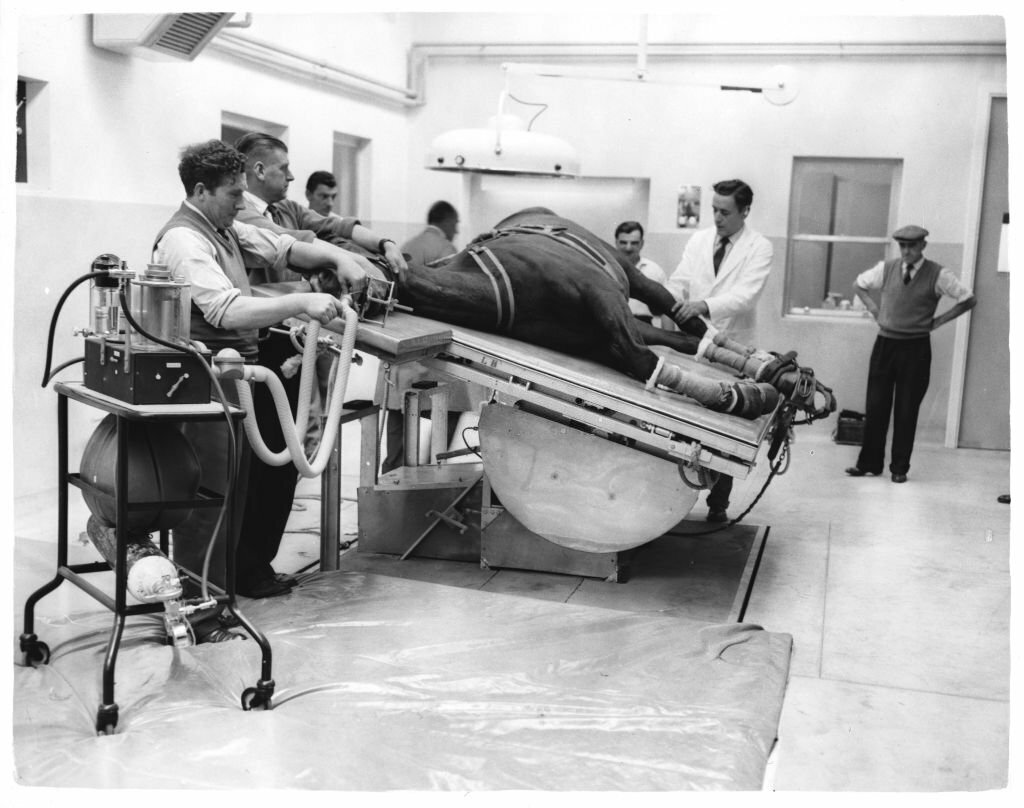 1961_vets_perform_sugery_on_a_horse_at_the_animal_health_trust_equine_research_station_at_newmarket_england.jpg