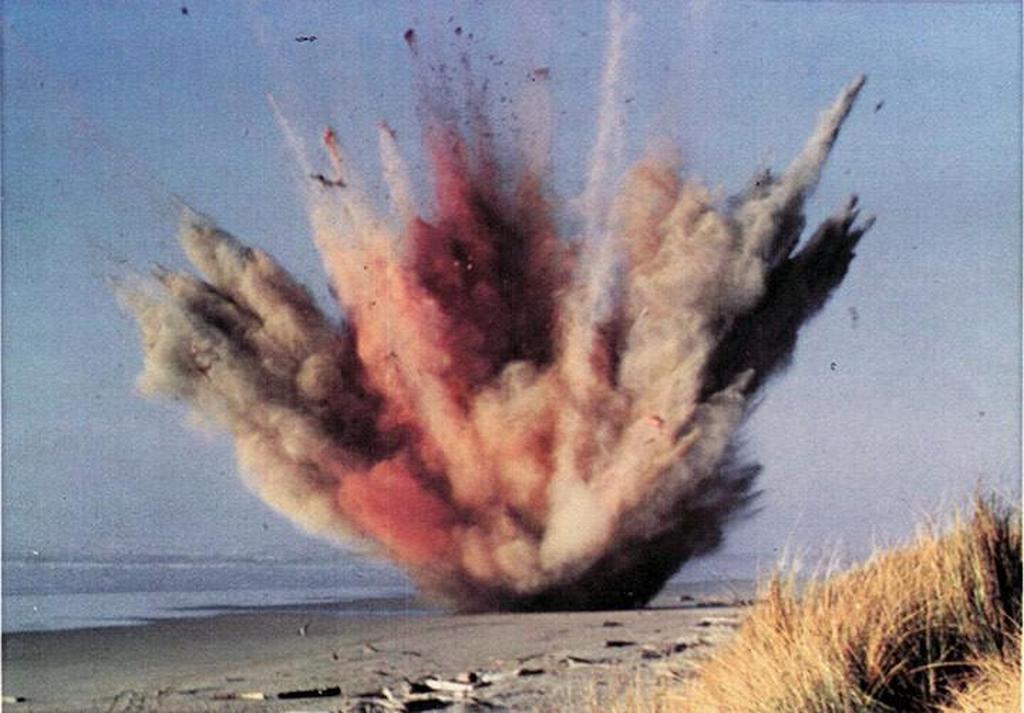 1970_a_whale_carcass_explodes_on_a_beach_in_florence_oregon.jpeg