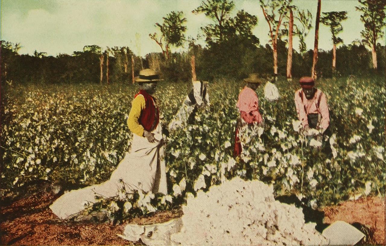 1880 körül. Feketék dolgoznak egy amerikai déli állambéli gyapotültetményen..jpg