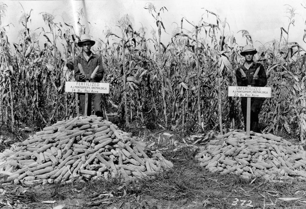 1932_oklahoma_farmers_comparing_yields_of_fertilized_vs_unfertilized_corn_cr.jpg