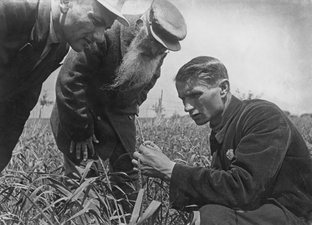 1930-as_evek_trofim_lysenko_the_president_of_the_lenin_academy_of_agricultural_sciences.jpeg