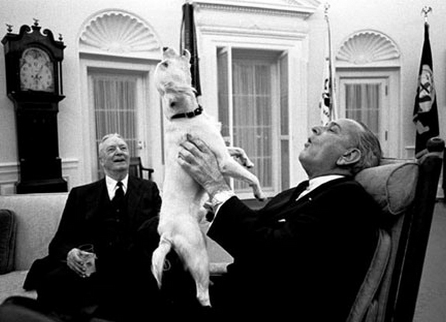 1968. Lyndon B. Johnson az akkori USA elnök együtt vonyít kutyájával..jpg