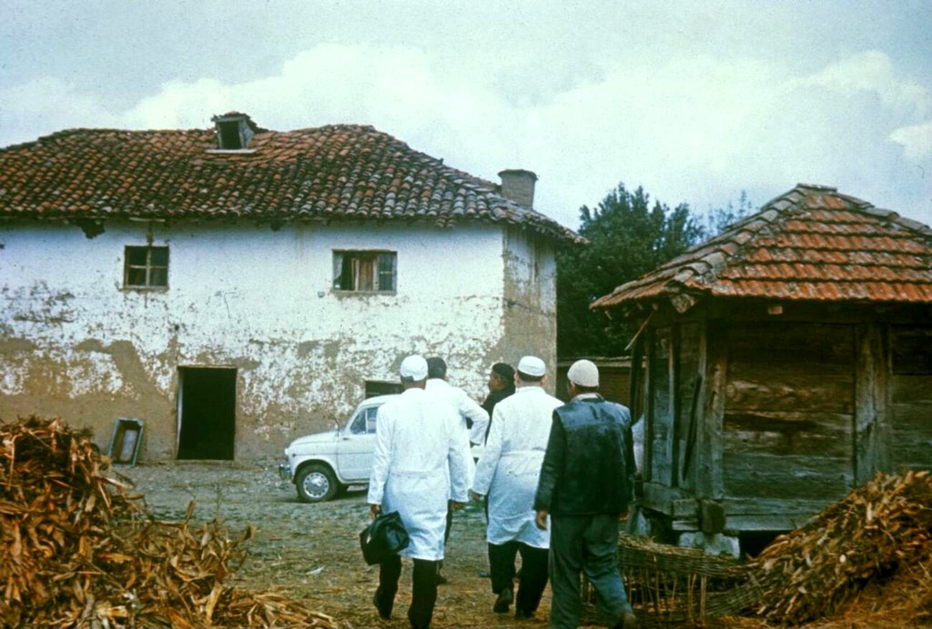1972_house_of_smallpox_indexpatient_during_the_epidemic_in_kosovo_yugoslavia.jpg