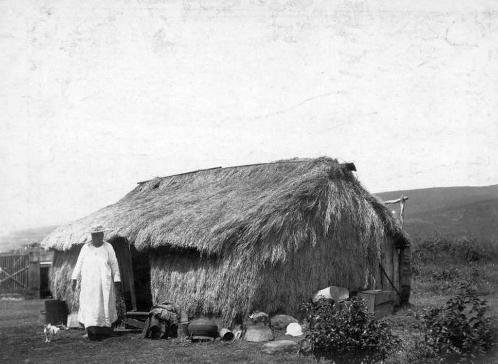 1898_grass_thatched_house_oahu_hawaii_cr.jpg