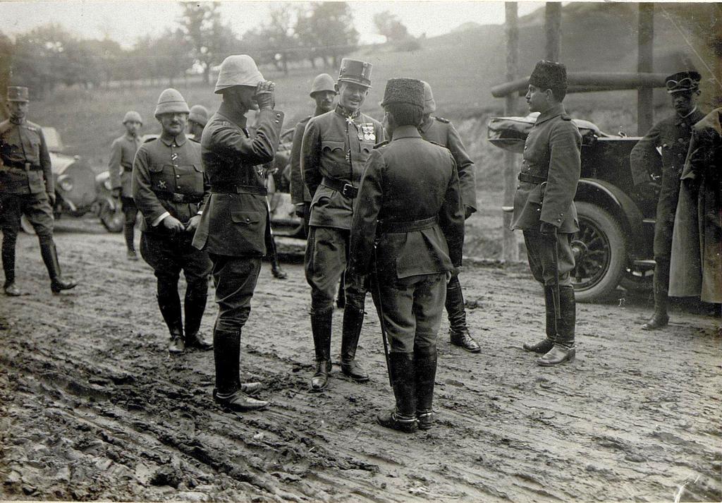1916_austro-hungarian_archduke_karl_meets_with_the_divisional_commanders_of_the_ottoman_xv_corps_fighting_on_the_galician_front.jpeg