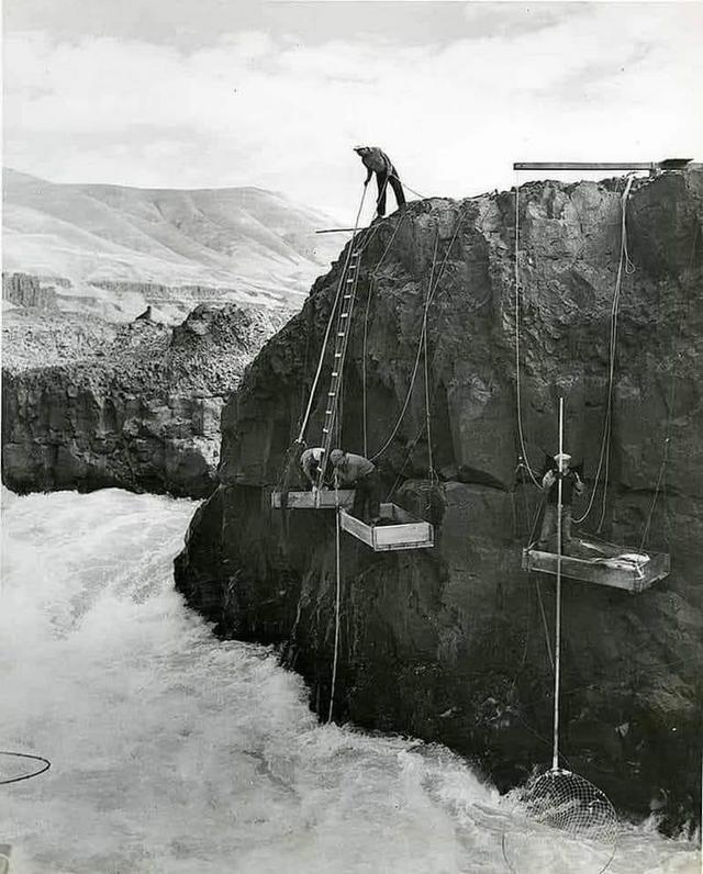 1952_salmon_fishing_with_dip_nets_celilo_falls_on_the_columbia_river.jpeg