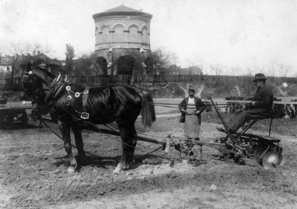 1919_felszantjak_a_budapesti_loversenyteret_harsanyigyula_cr.jpg