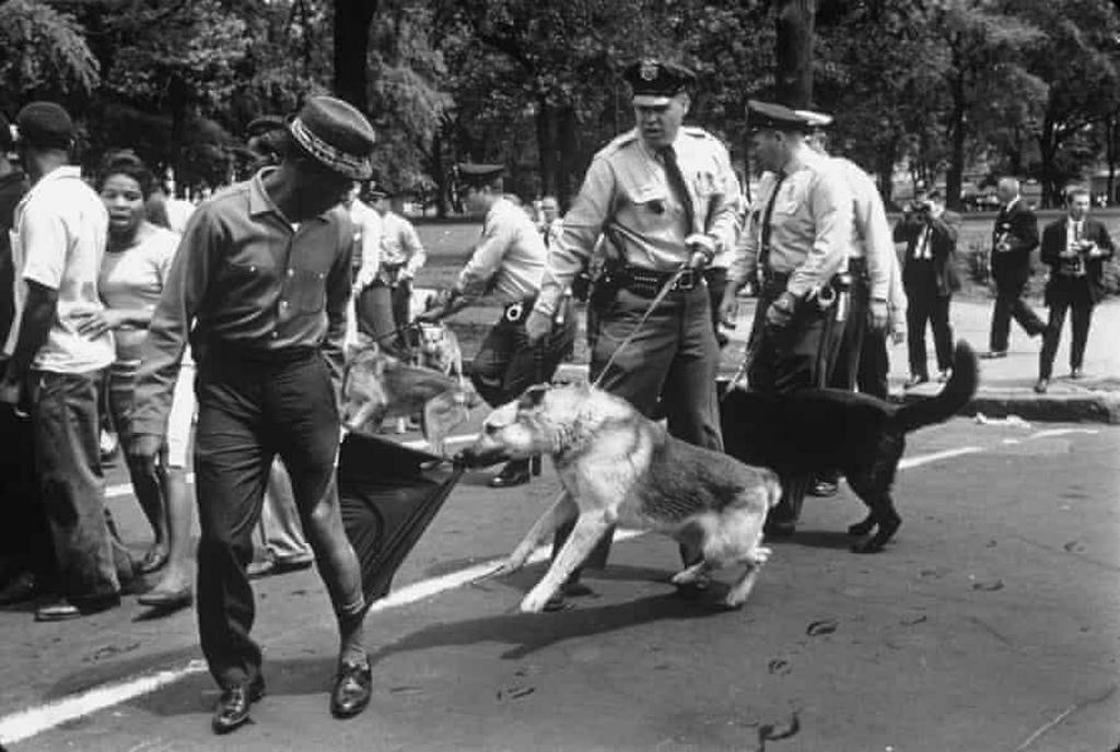 1963_fekete_polgarjogi_demonstravion_egy_rendorkutya_tepi_le_a_nadragot_az_egyik_reszvevorol_alabama_egyesult_allamok.jpeg