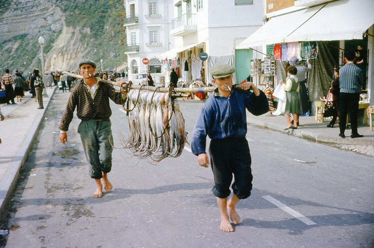 1961_poliphalaszok_portugaliaban.jpg