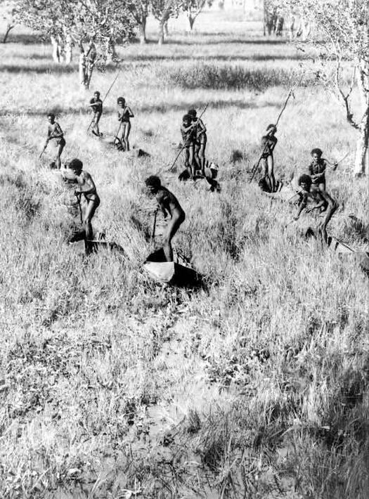1930-as_evek_australia_yolngu_men_from_ramingining_east_arnhem_land_navigating_the_arafura_swamp_in_traditional_canoes.jpeg