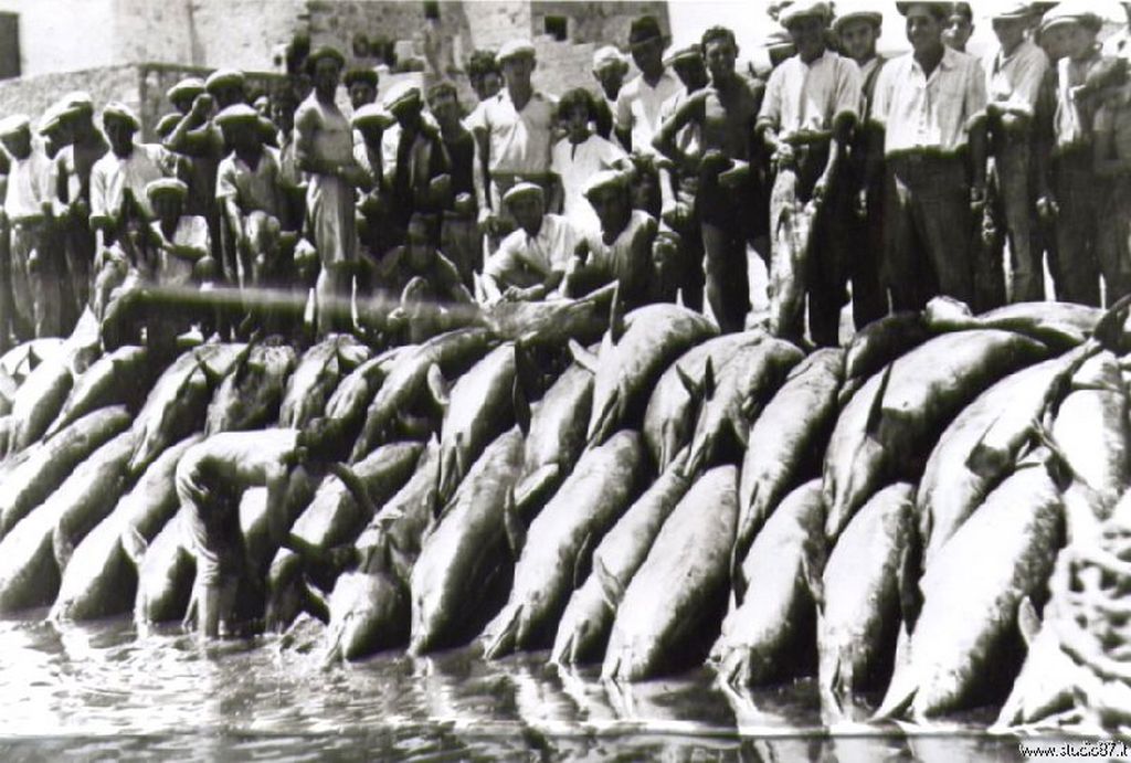 1930_szardiniai_delfinhalaszok_akkoriban_a_tengeri_emlos_meg_nem_volt_vedett_allat.jpg