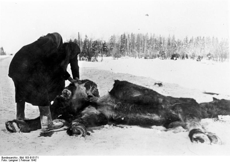 1942. Szovjet nők egy elhullott lovat darabolnak fel..jpg