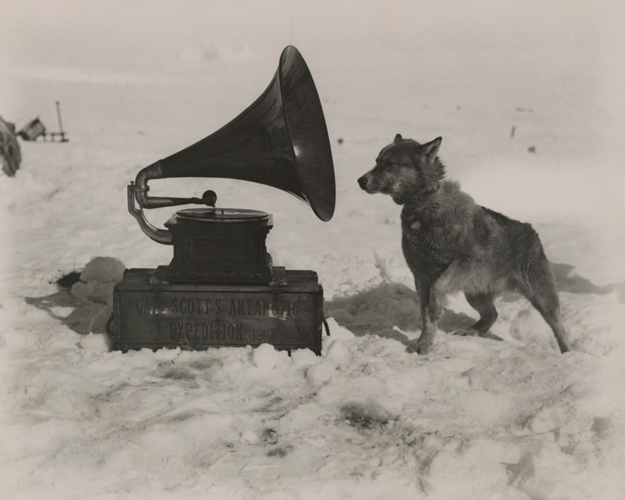 1911. Robert Scott déli sarki expedíciójára gramofont is vitt. Chris nevű kutyájának nagyon tetszett..jpg