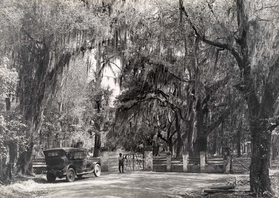 1926. Dél-Karolina-i ültetvény bejárata..jpg