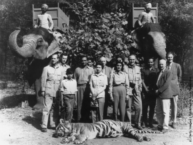 1961. II. Erzsébet (középen) Indiában férje, Fülöp herceg (bal szélen) által lőtt tigrissel..jpg