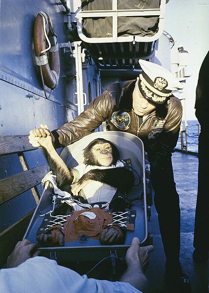1961. Sonka, az űrhajós csimpánz üdvözli megmentőit a földet érés után..jpg