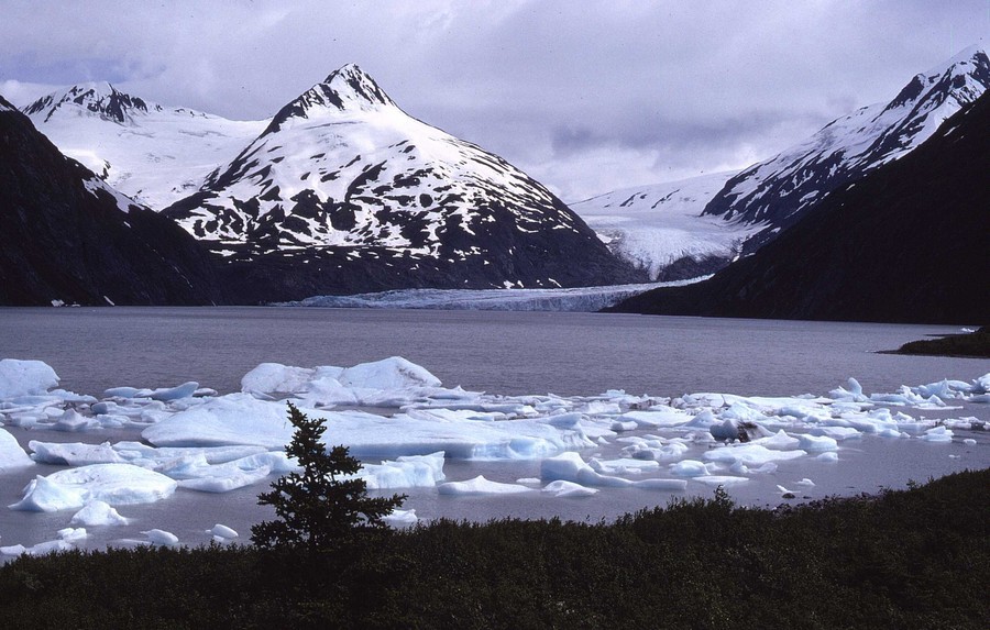 iceflows-denali-alaska-1982.jpg