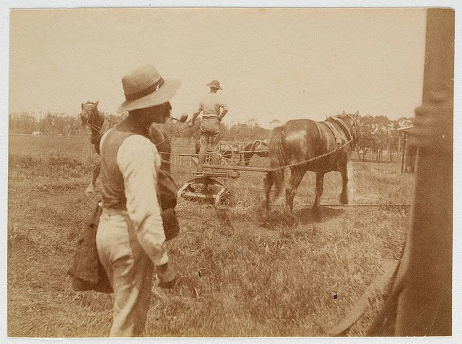 Street Scenes of Sydney, ca. 1885-1890 (18).jpg