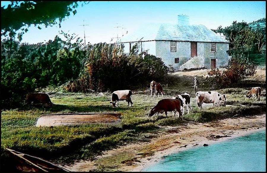 Old Bermuda in the 1930s (15).jpg