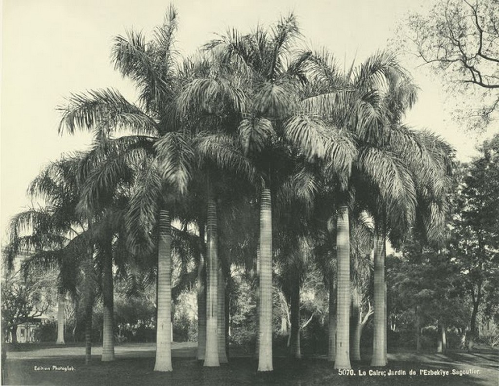 Garden of Ezbekieh [Azbakia].jpg