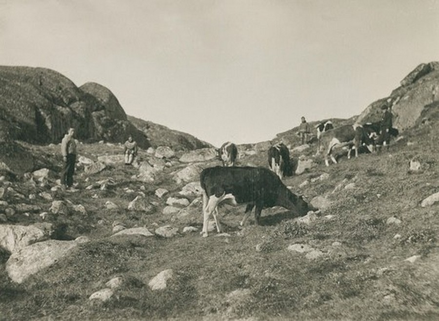 Greenland in the Late 19th to Early 20th Century (36).jpg