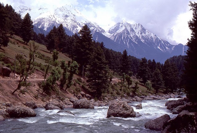 Vale of Kashmir, India, 1982 (35).jpg