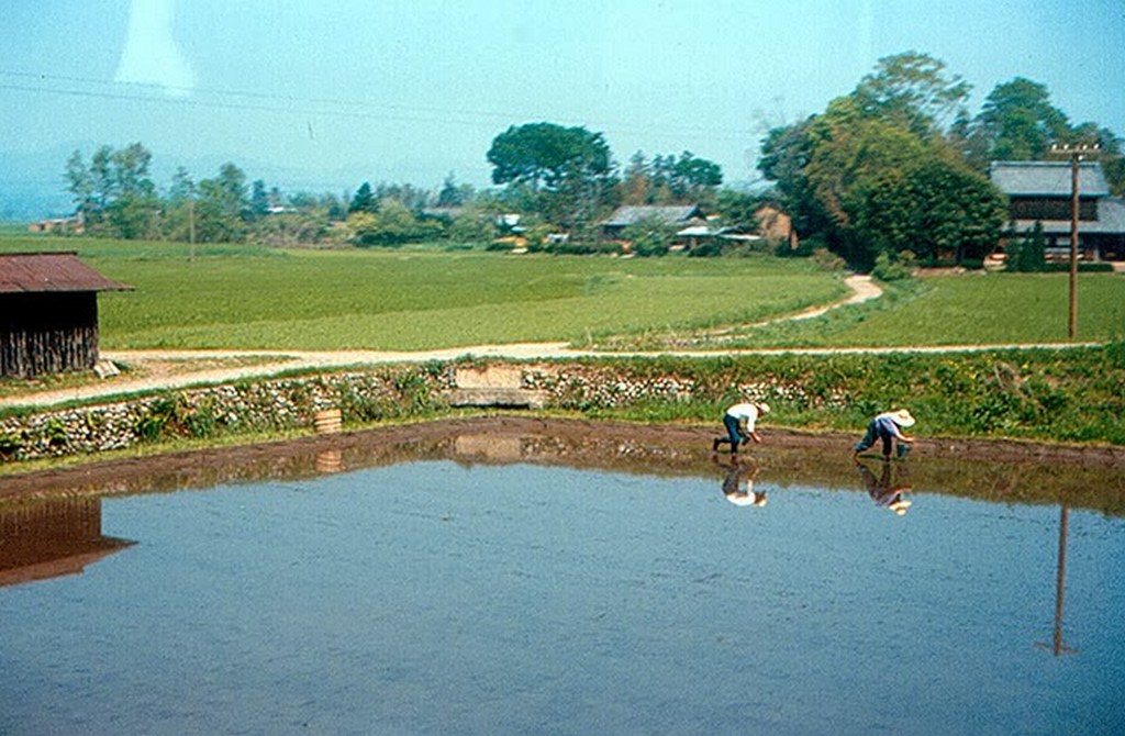 Japan in 1967 (25).jpg