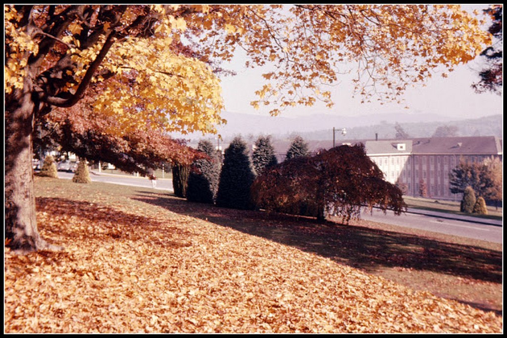 everyday_life_in_canada_during_the_1960s_289_29.jpg